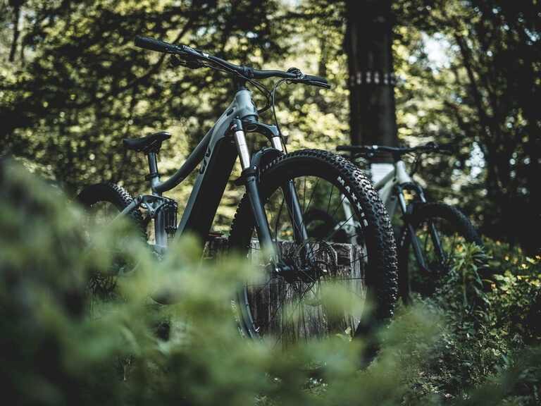 Ein Mountainbike steht inmitten eines Waldes.